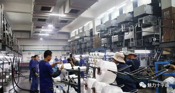 鏡頭記錄變遷，筆墨書寫新篇——十字路街道舉辦攝影與文學(xué)創(chuàng)作采風(fēng)活動(dòng)